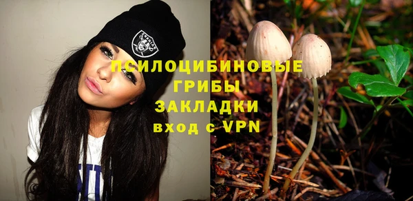 PSILOCYBIN Верхнеуральск